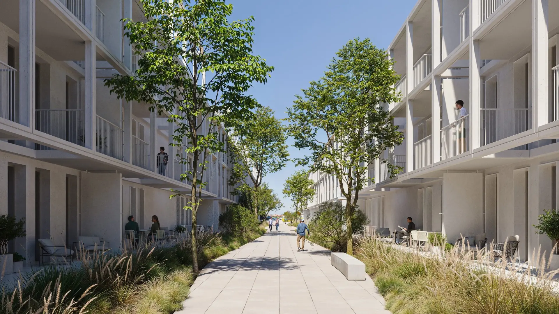 Green lane between homes